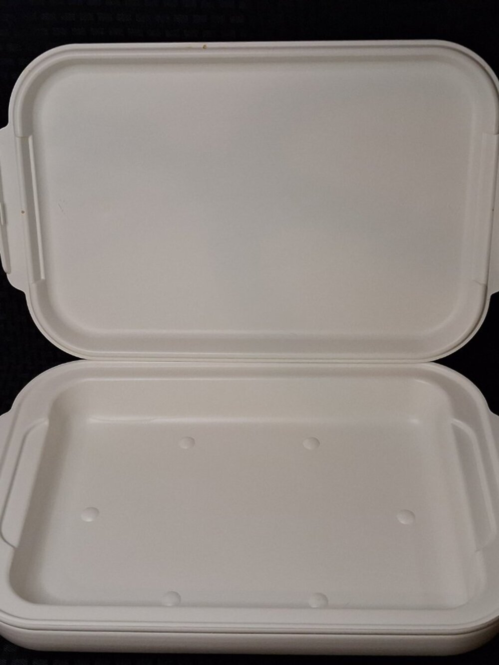 Vintage Aladdin Tempreserve Insulated Casserole Container ICC500 9x13 EUC